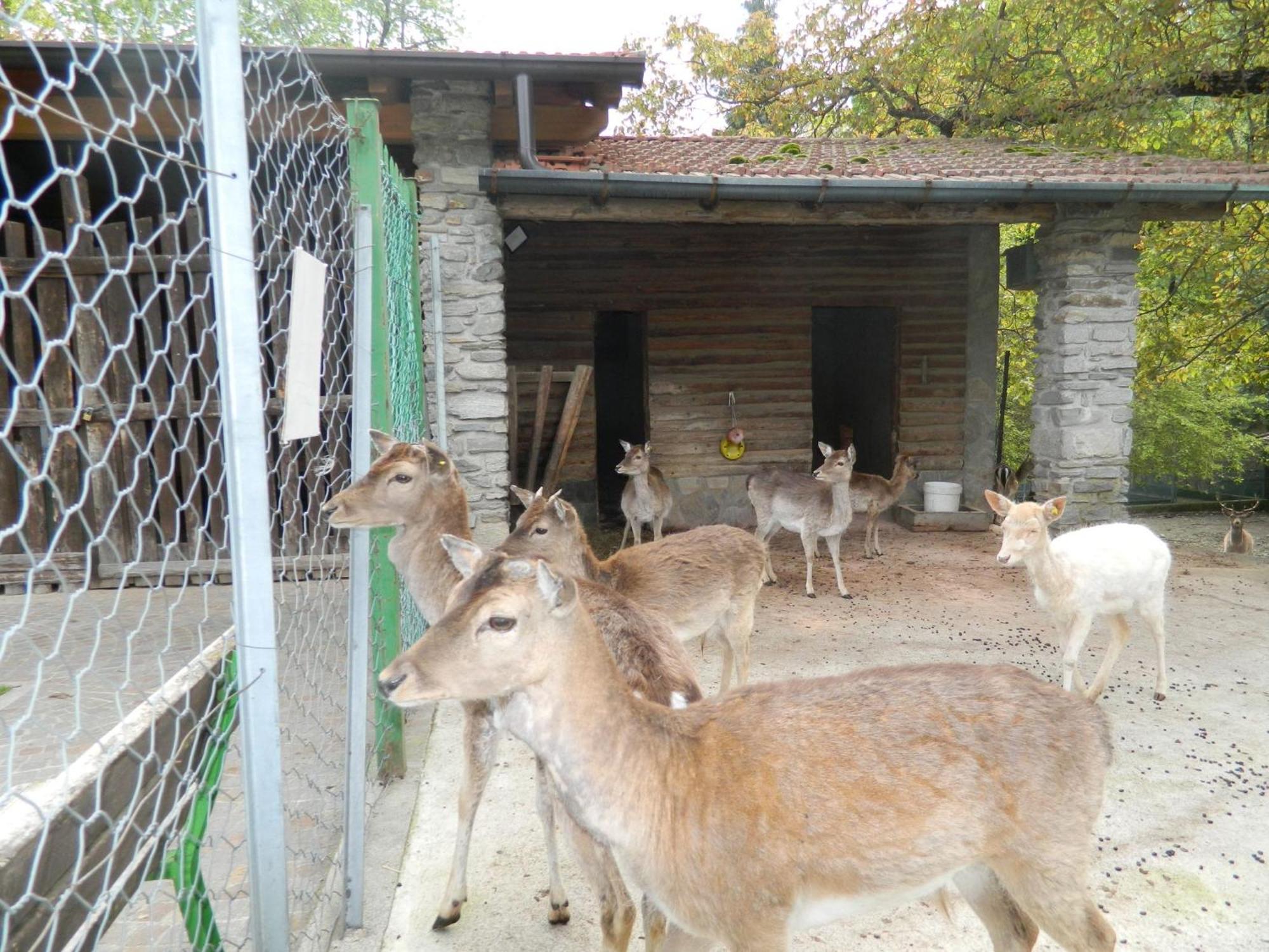Lago Maggiore Holiday House, Lake View, Vignone Dumenza ภายนอก รูปภาพ
