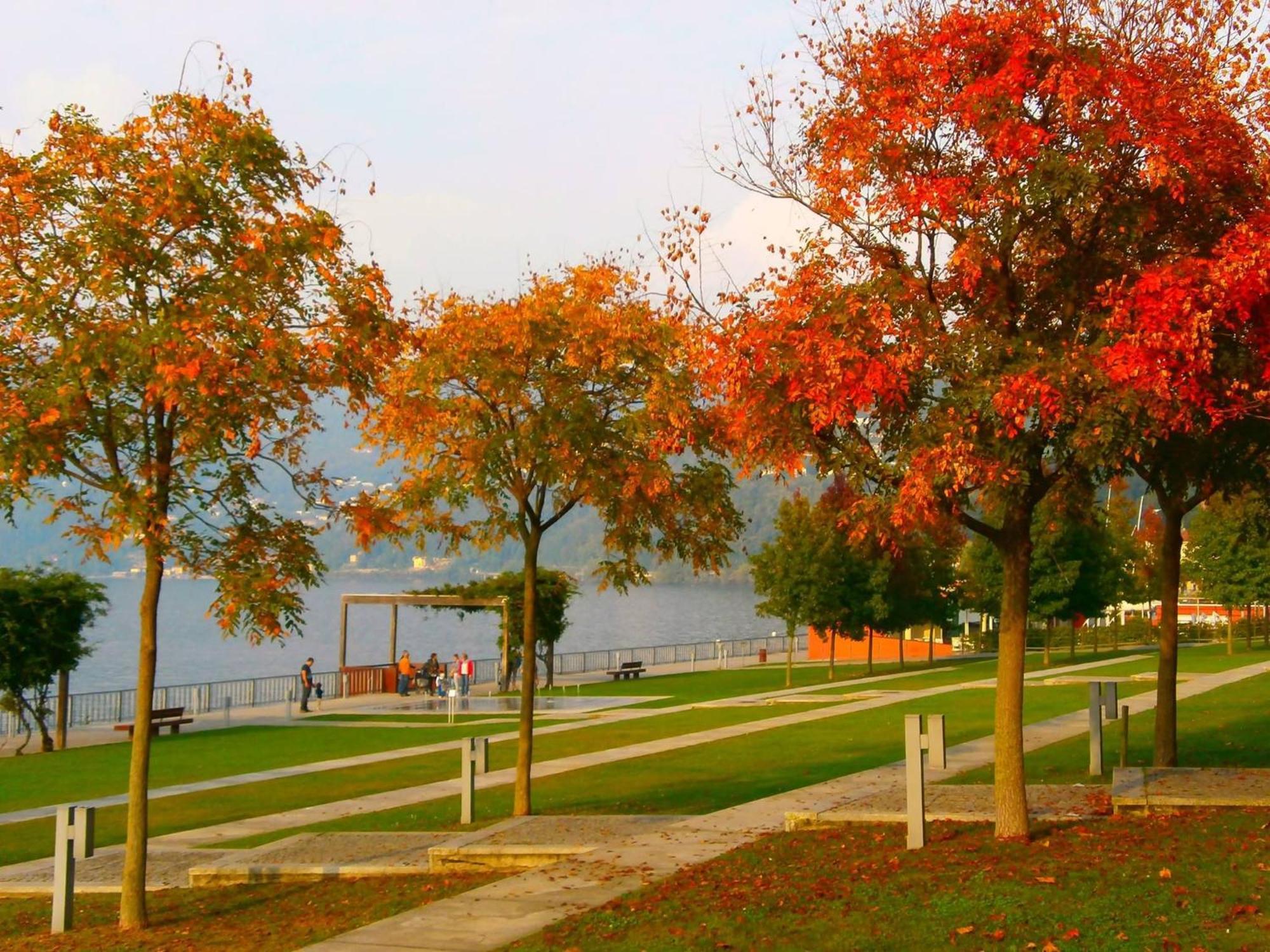 Lago Maggiore Holiday House, Lake View, Vignone Dumenza ภายนอก รูปภาพ